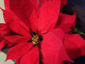 E3839DE382A4E383B3E382BBE38381E382A2