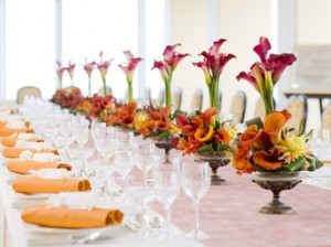 E383AAE38393E382A8E383A9EFBC92