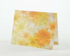 detail_Item_first_image_979